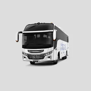 sewa bus medium