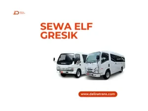 sewa elf gresik